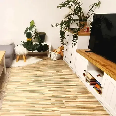 Apartment Mika *