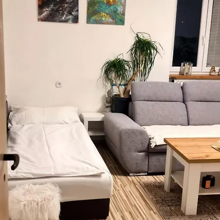 Apartment Mika *